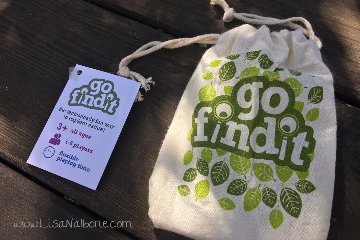 Review of GoFindIt, an Instant Natural Treasure Hunt Game – LISA NALBONE